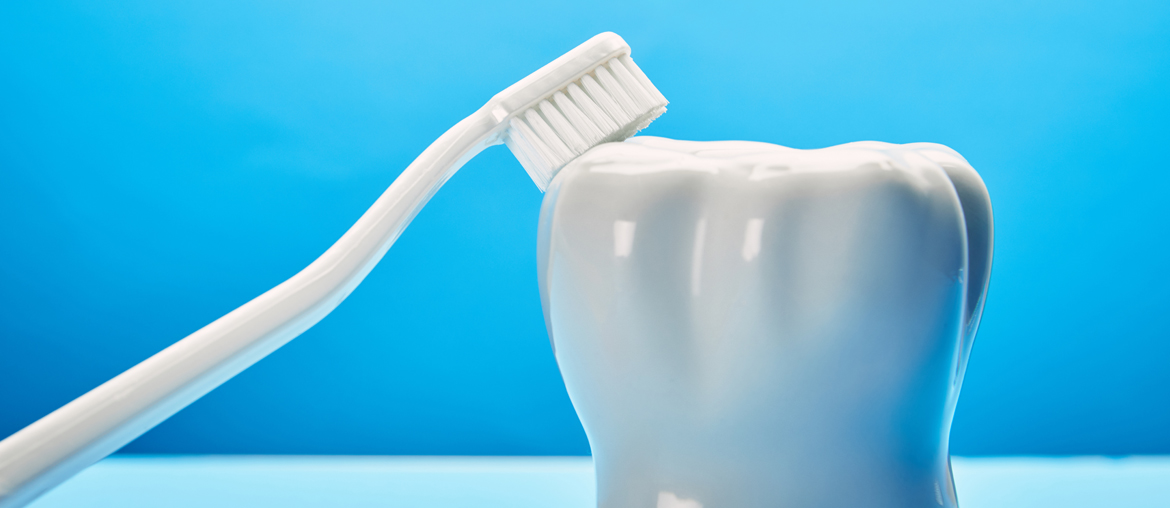 Banner-1 copy.jpg
